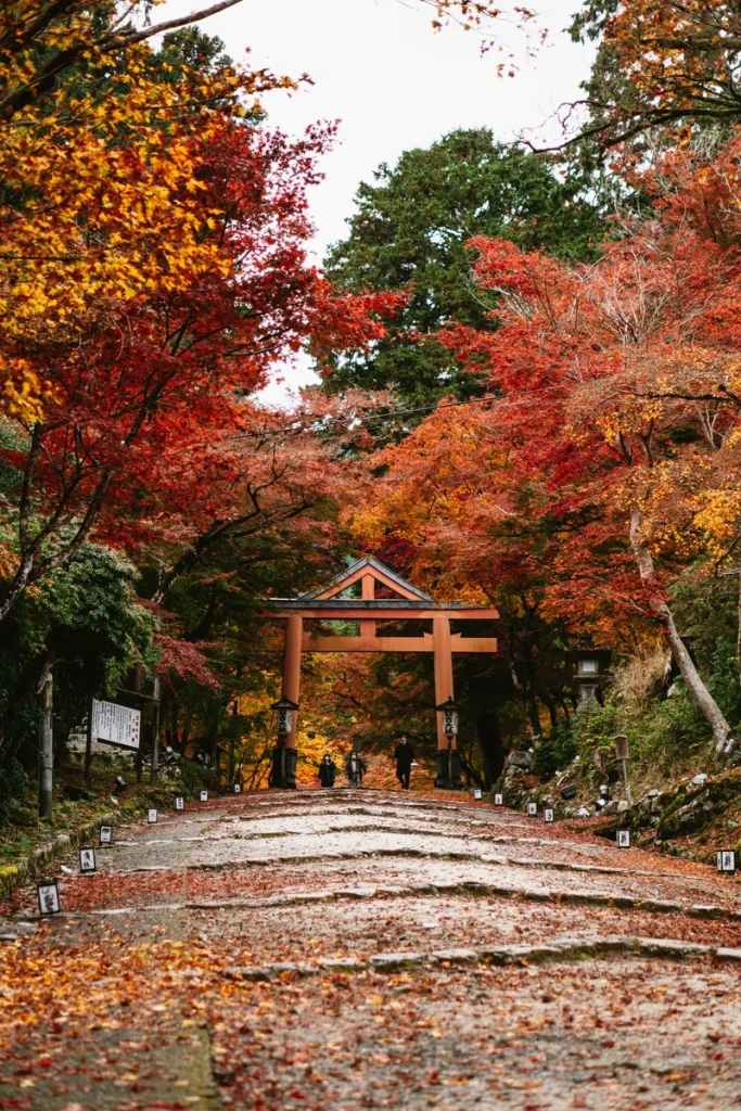 Paseo de entrada a un templo y hojas de color rojizo